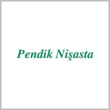 Pendik Nişasta / Türkiye